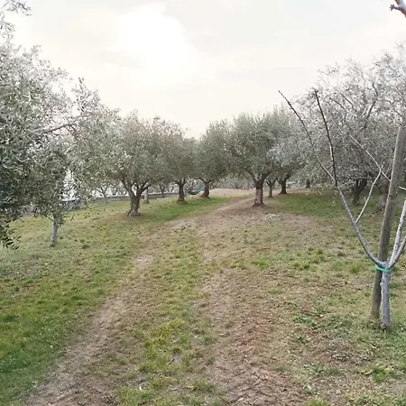 Dimora Montelago Gino Giardino, Ac, * 산탐브로지오 디 발폴리첼라